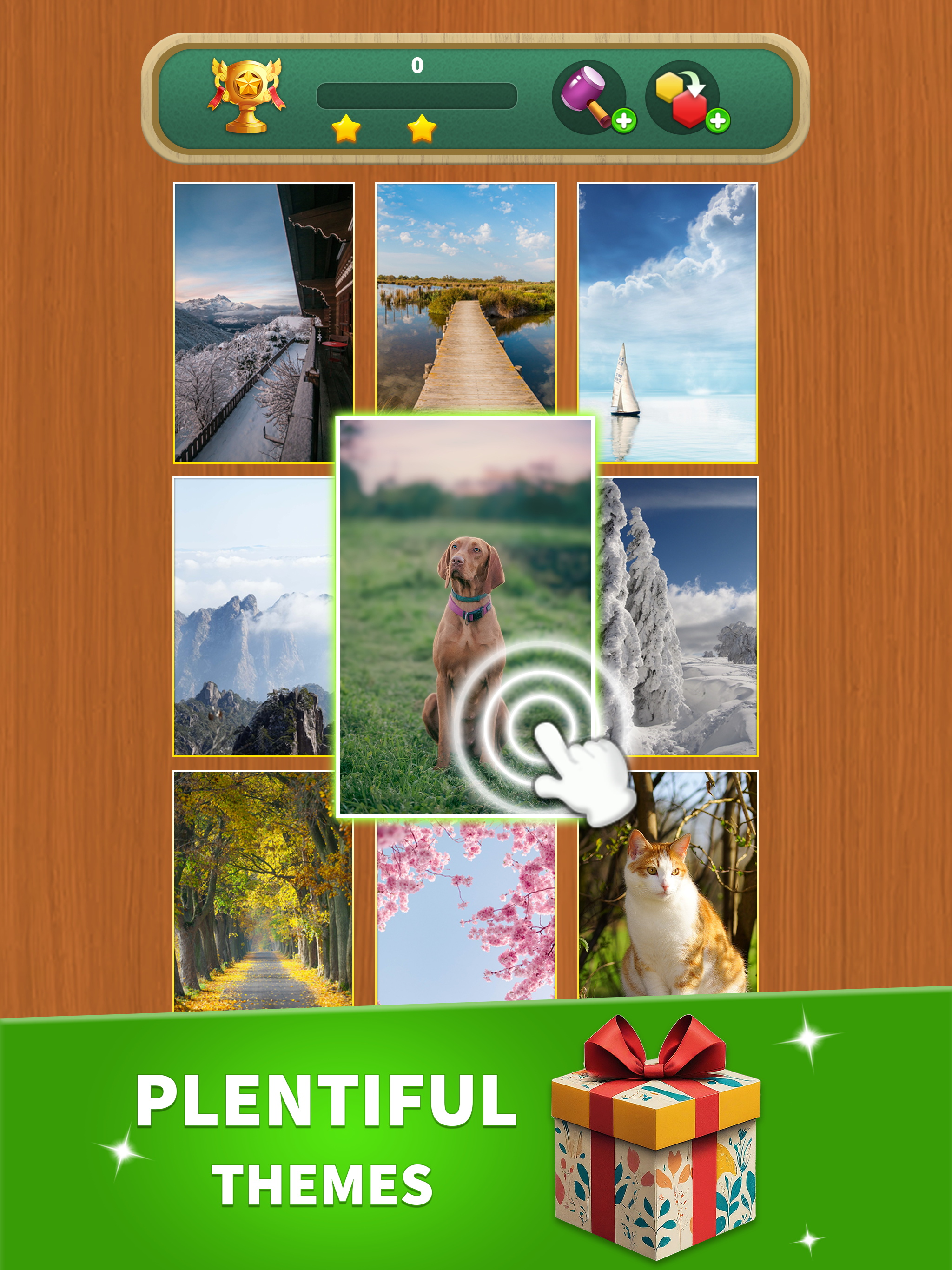 Hexa Connect Puzzle