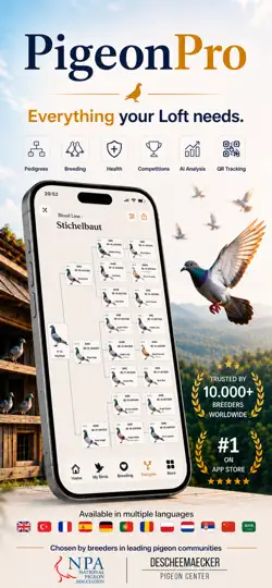 Screenshot von PigeonPro: Loft Manager auf dem iPhone 1