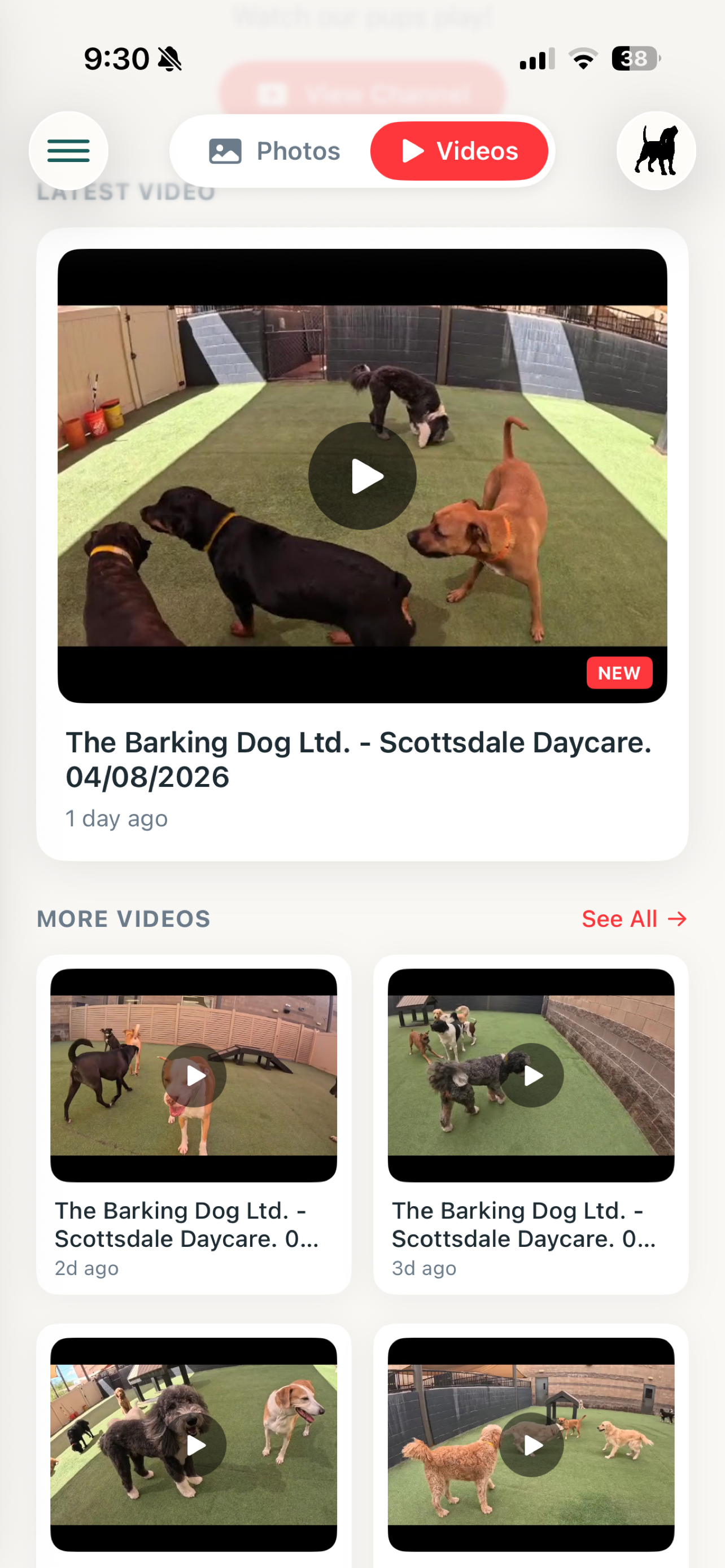 The Barking Dog screenshot 5