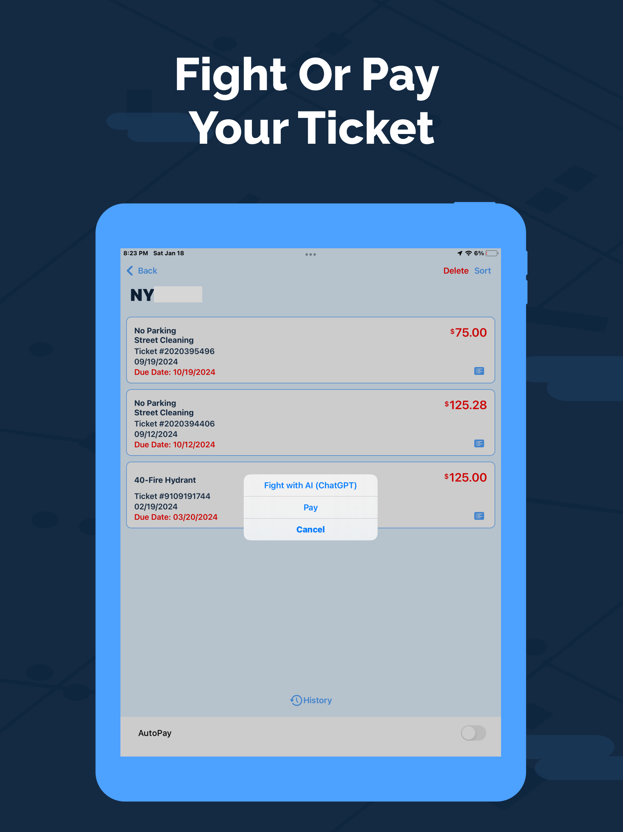 Wayron NYC AI Driver Assistant