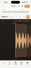 Audio Transcription Editor screenshot