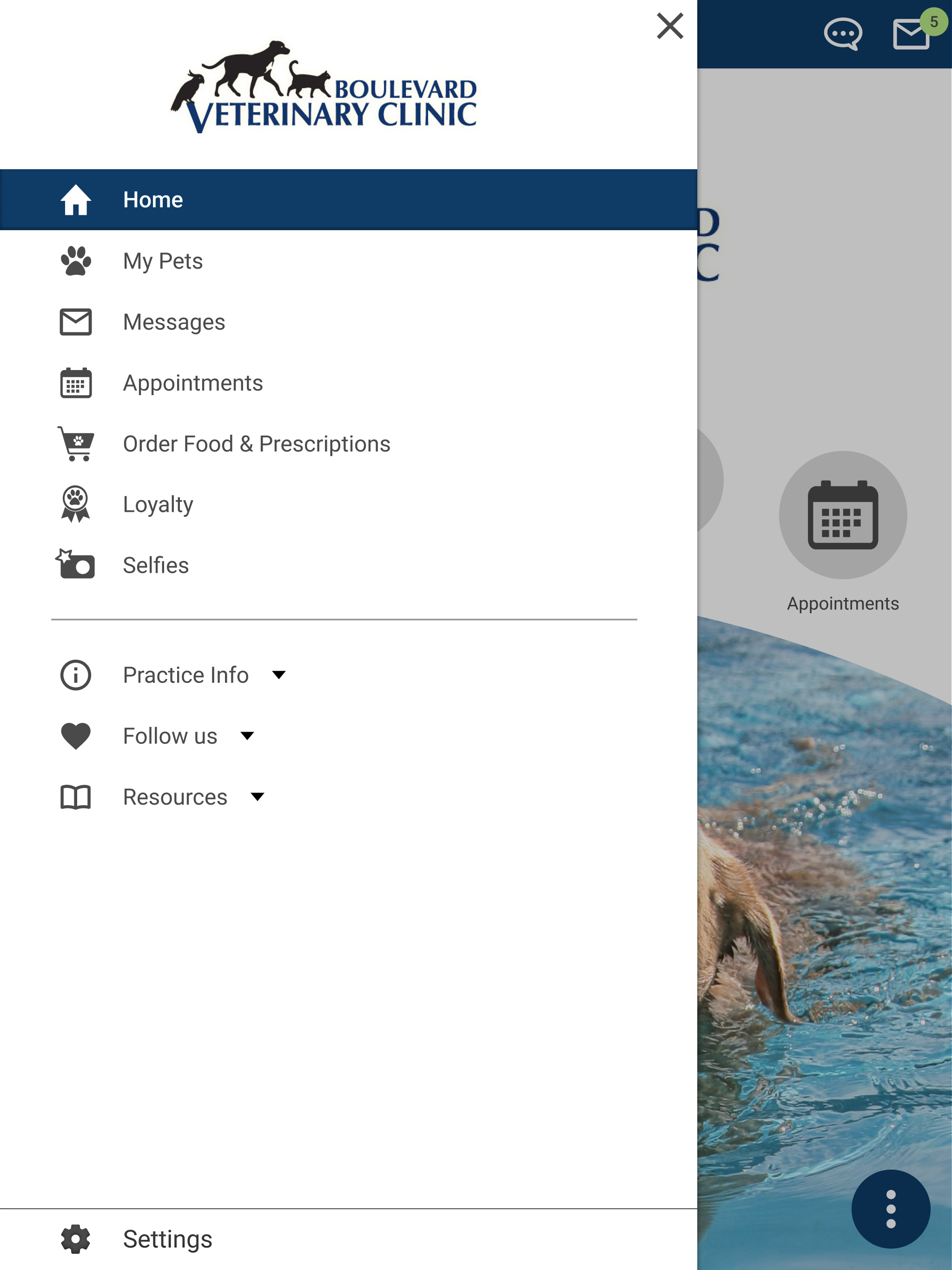 Boulevard Vet Clinic screenshot 15