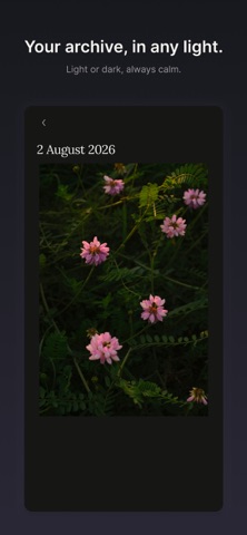 One Still: Photo Diary, kuvakaappaus 5