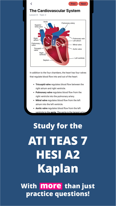 SE ATI TEAS & HESI Prep 2024 Screenshot