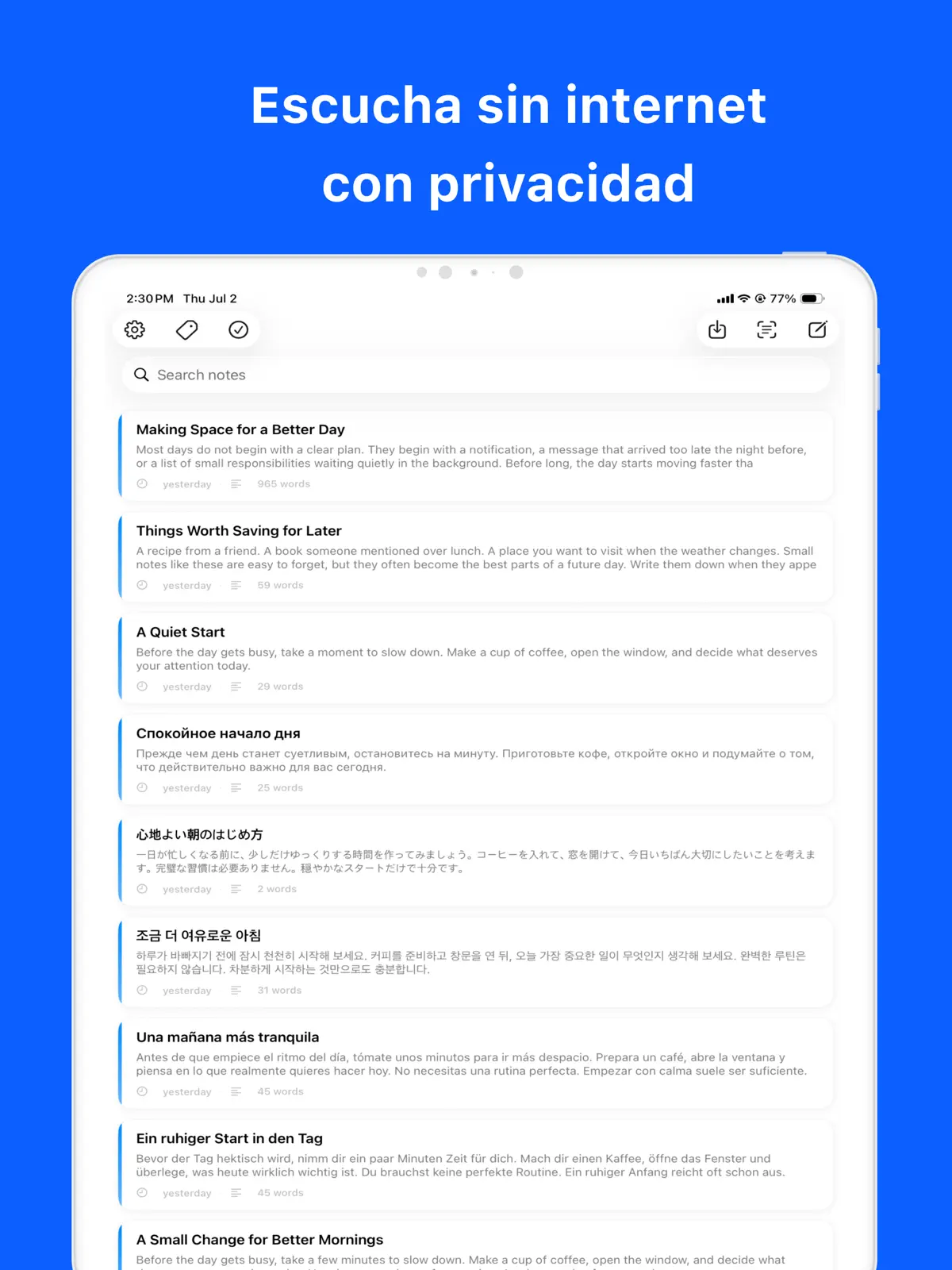 Local TTS - Leer en voz alta iPad screenshot 3