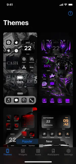 Reskin: Themes, Widgets, Icons screenshot 5