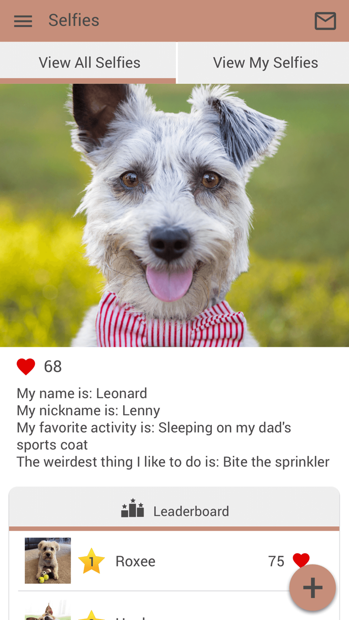 Eau Claire Animal Hospital