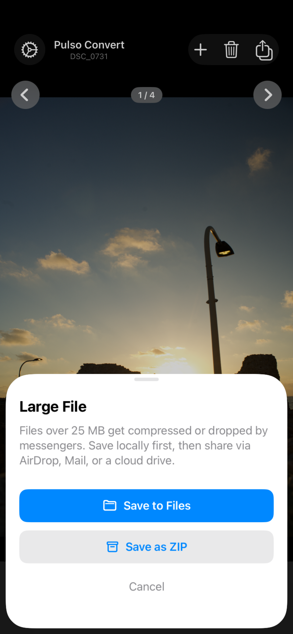 Pulso Convert: RAW Converter screenshot 3