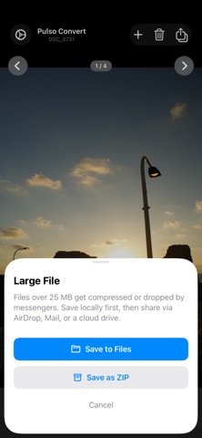 Pulso Convert: RAW Converter screenshot