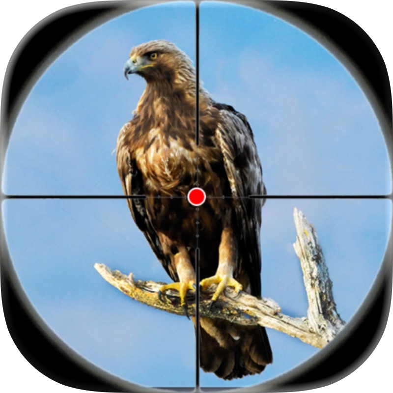 Wild Hunter: Chicken Sniper 3D screenshot 7