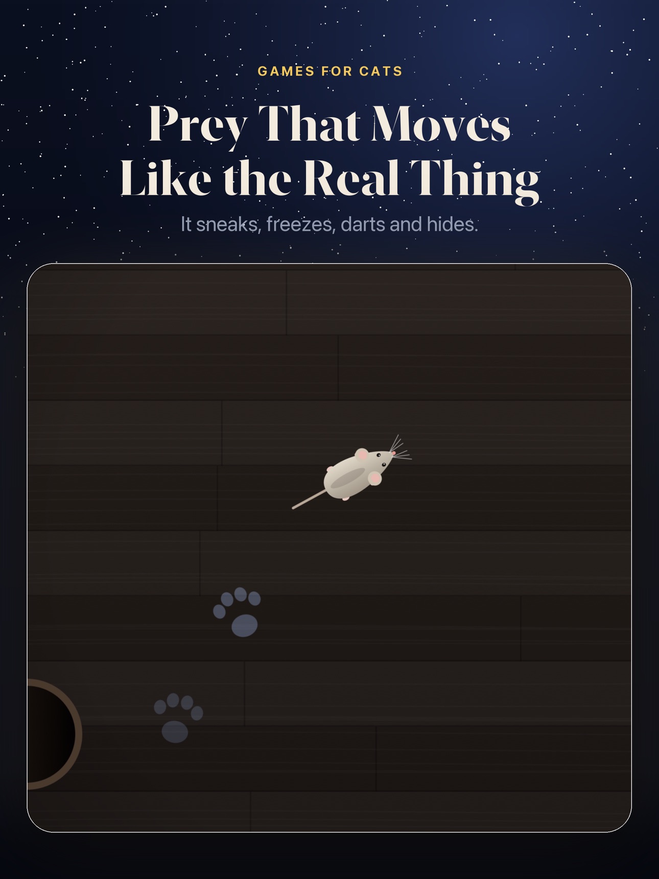 Screenshot 9 of Prowl: Games for Cats