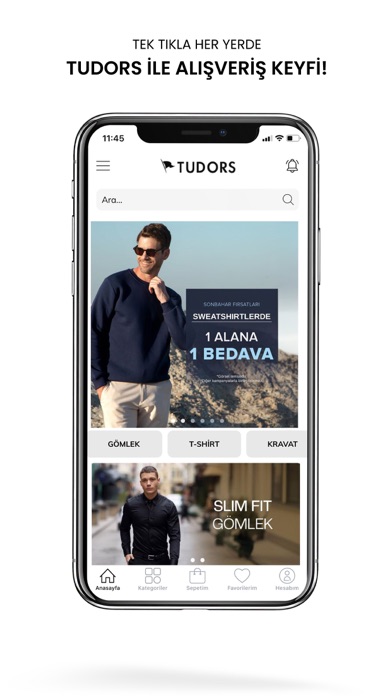 TUDORS Screenshot