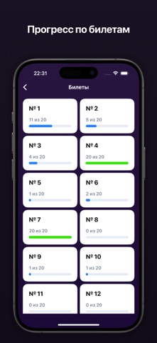 Ответы на билеты ПДД 2025 iPhone screenshot