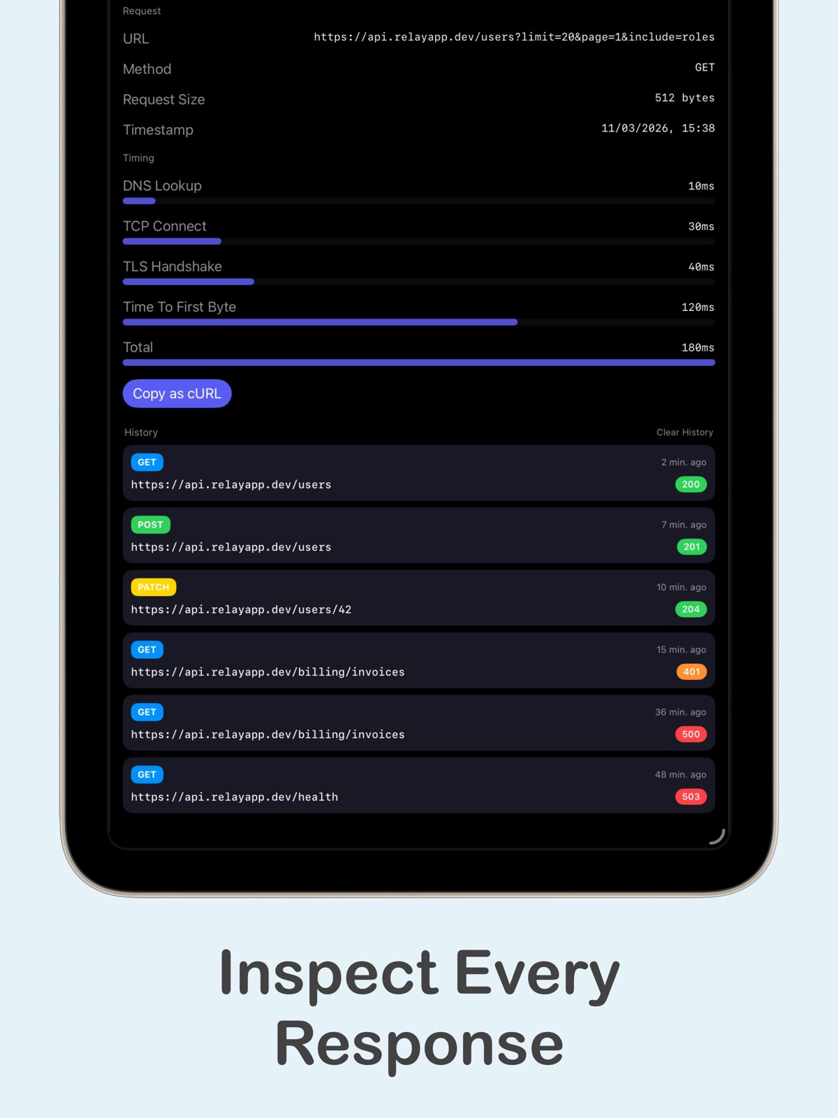Relay: HTTP & REST Client ipad screenshot 2