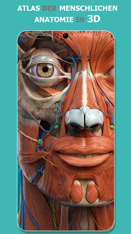 Anatomy Learning - 3D Atlas screenshot 1 of 7