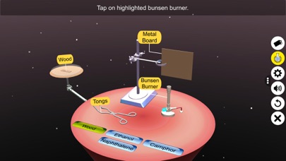 Combustion of Carbon Compounds