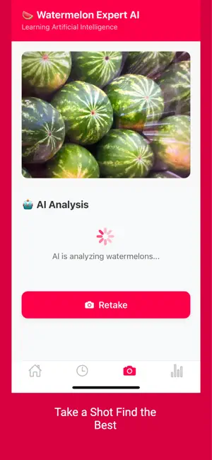 Watermelon AI screenshot 4