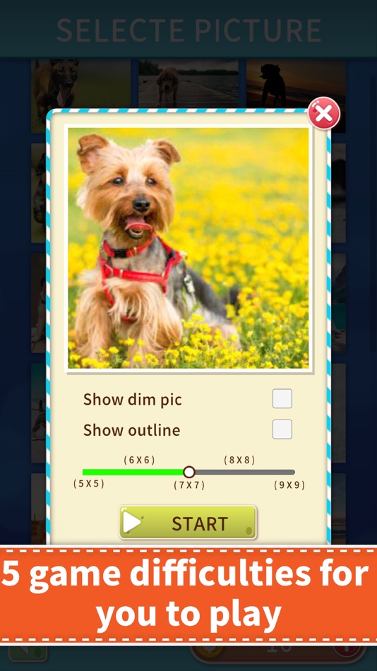 #2. Jigsaw Puzzle Games All In One (iOS) 由: 少淘 黄
