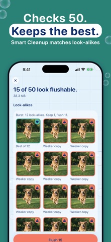 Flushable: Photo Cleaner screenshot 4