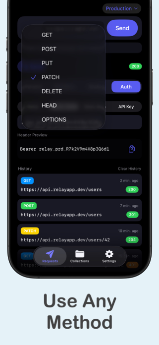 Relay: HTTP & REST Client Screenshot 4 of 6