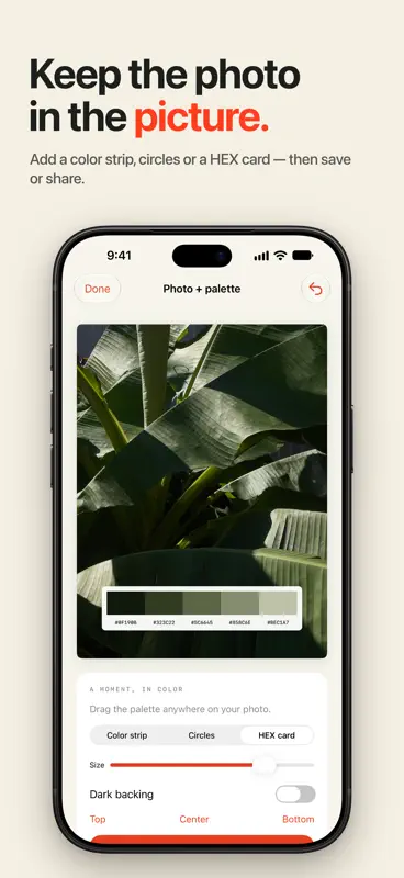 Palette Hunt: Farbe & Poster screenshot 2 of 8