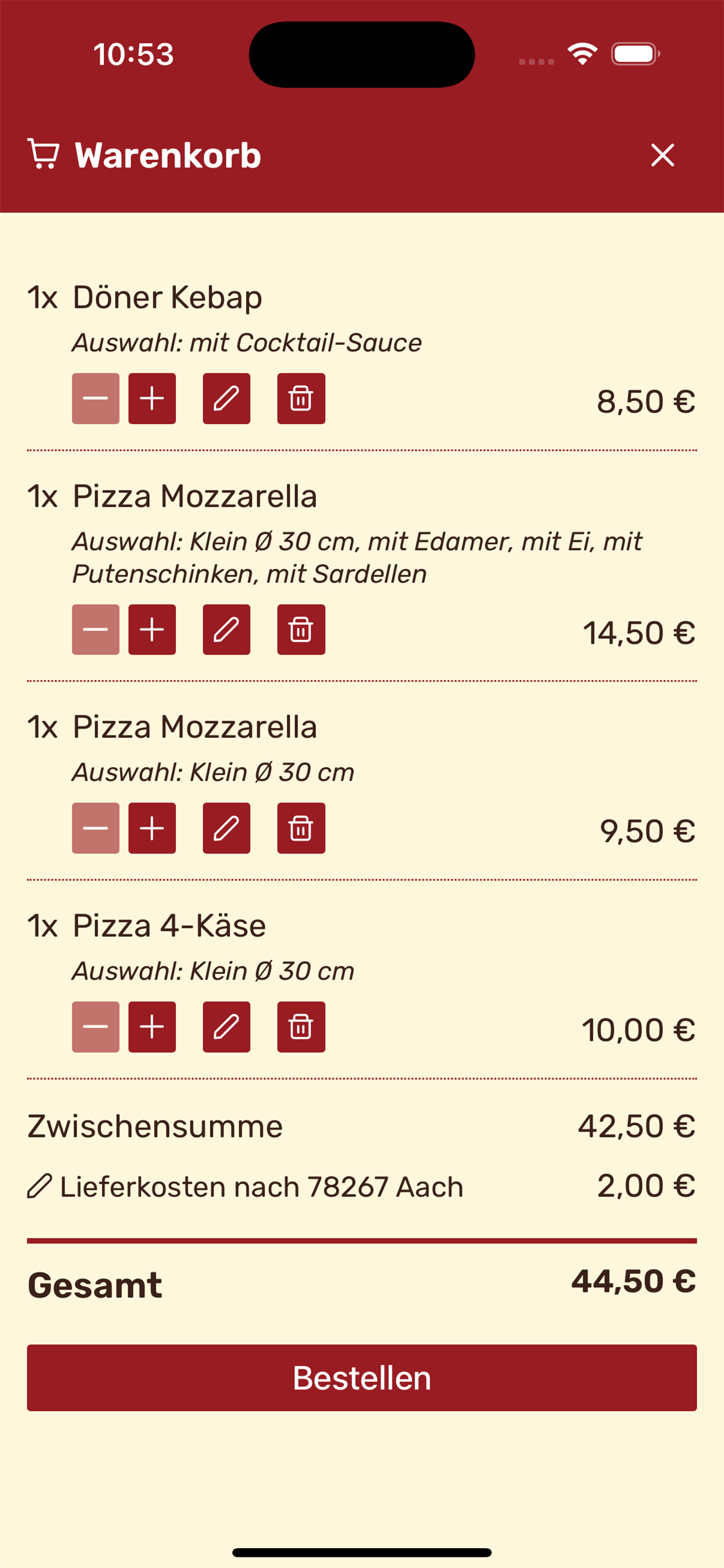 Stern Pizza Kebap