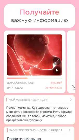 Скриншот Беременность по неделям. на iPhone 1
