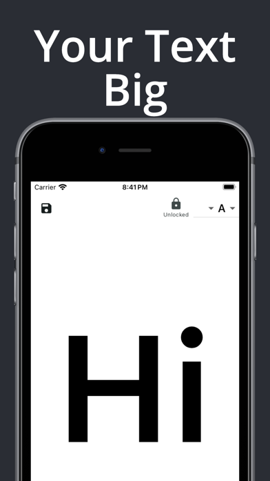 Big Text Display App Screenshot