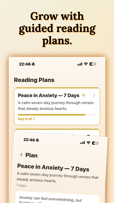 Daily Bible Verse - Solace screenshot