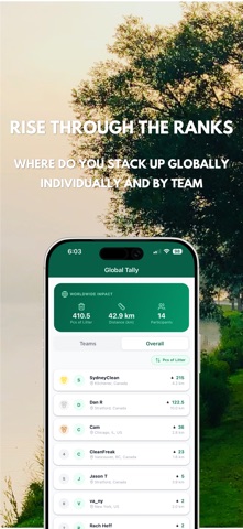 The Clean Miles Project screenshot