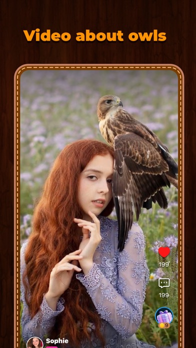 Owl Diary: For Owlet Screenshot