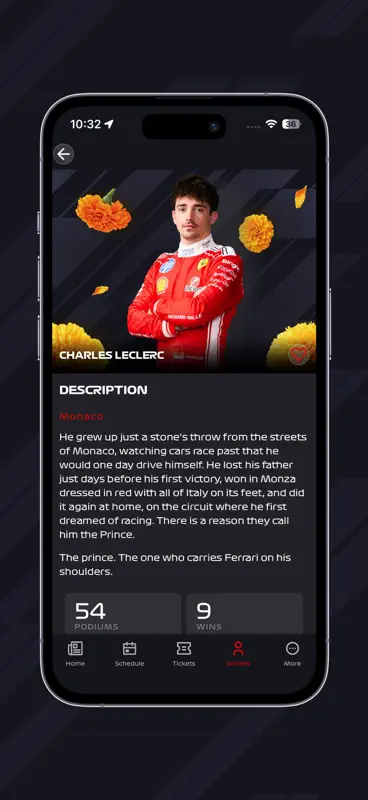 F1 MexicoGP screenshot 5 of 6