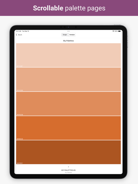 Color Palette Designer iPad screenshot 6 - Graphics & Design app