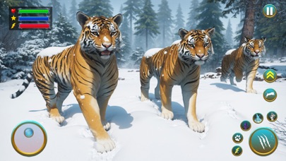 Wild Tiger Animal Survival Screenshot
