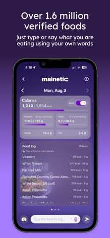 mainetic screenshot
