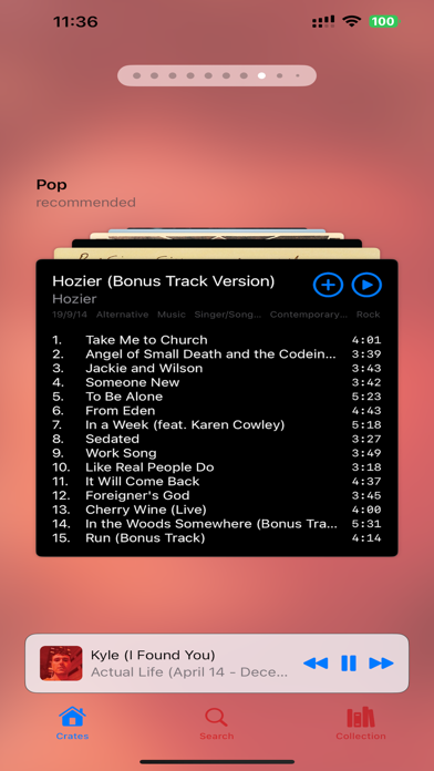 Cabin Vinyl Screenshot