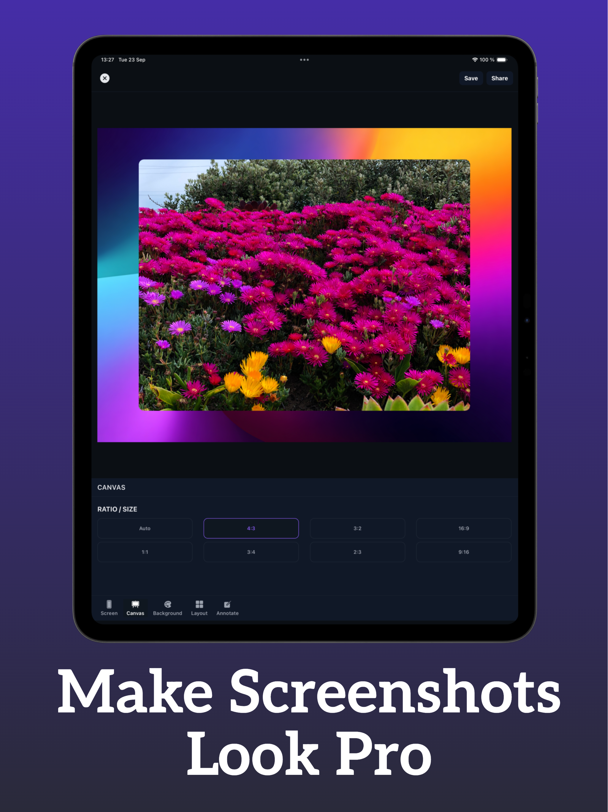 Snaplet - Stunning Screenshots screenshot 8