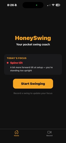 HoneySwing screenshot
