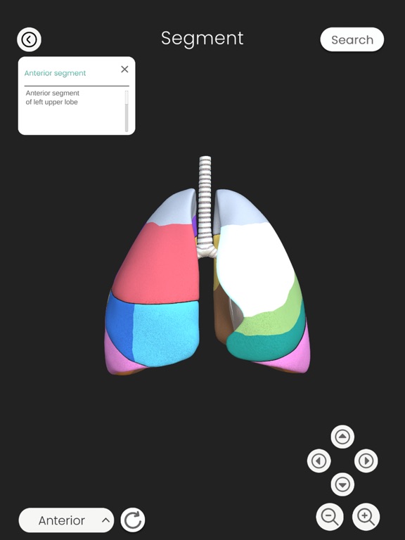 Screenshot #4 pour My Lung PT SWU