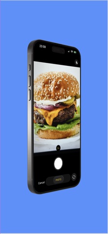 Not Hamburger screenshot