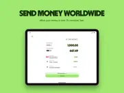 wise - global money ipad images 2