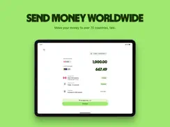 Wise - Global Money iPad image 2