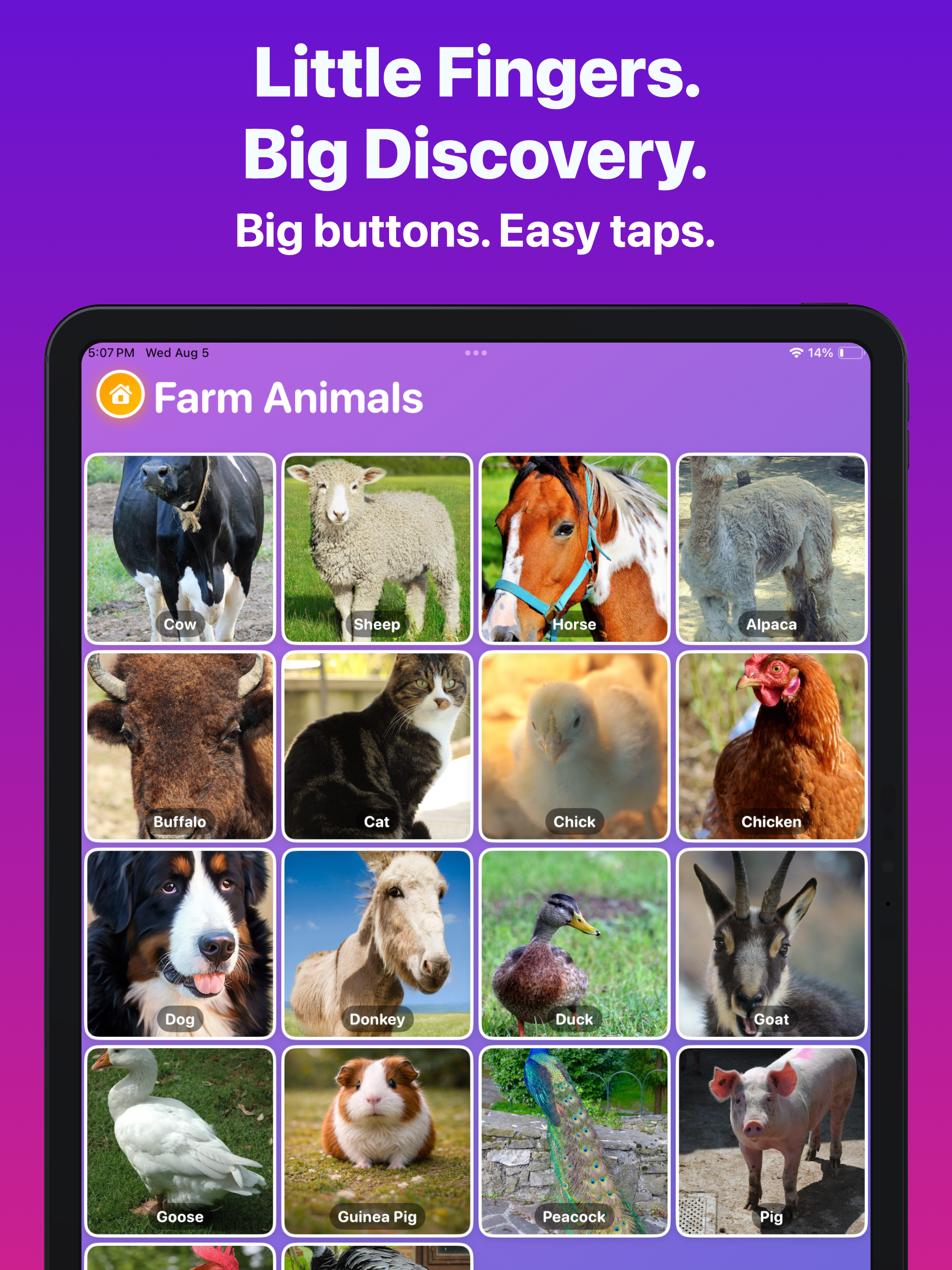 Animal Sounds: Kids Quiz Game screenshot 17