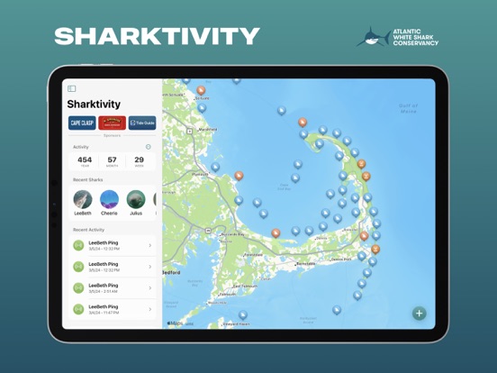 Screenshot #4 pour Sharktivity by AWSC