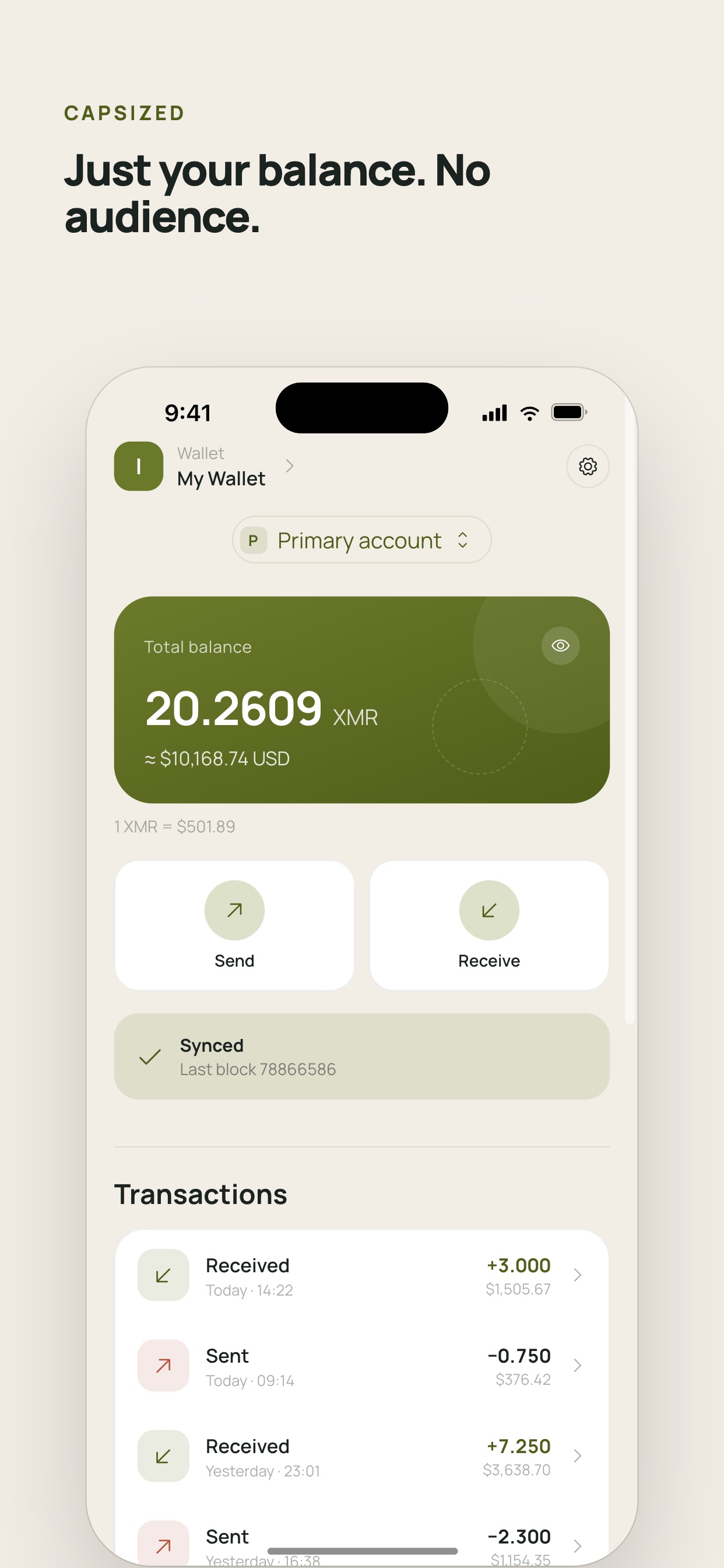 Screenshot 3 of Capsized Vault