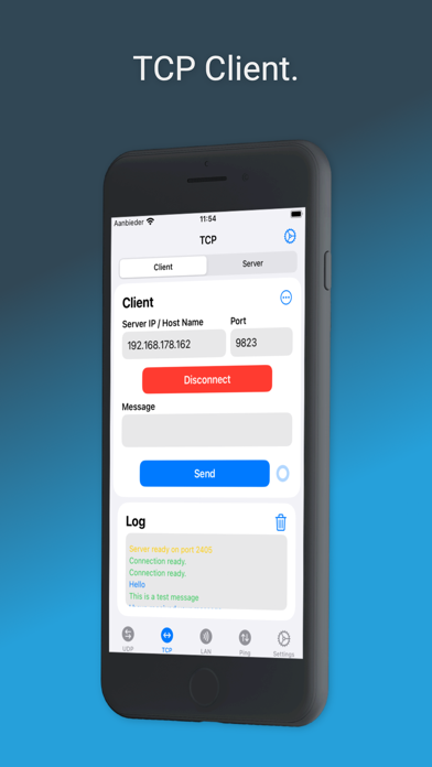 UDP TCP Netwerk Utility iPhone screenshot 2