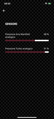 Elaborazioni 1919 screenshot