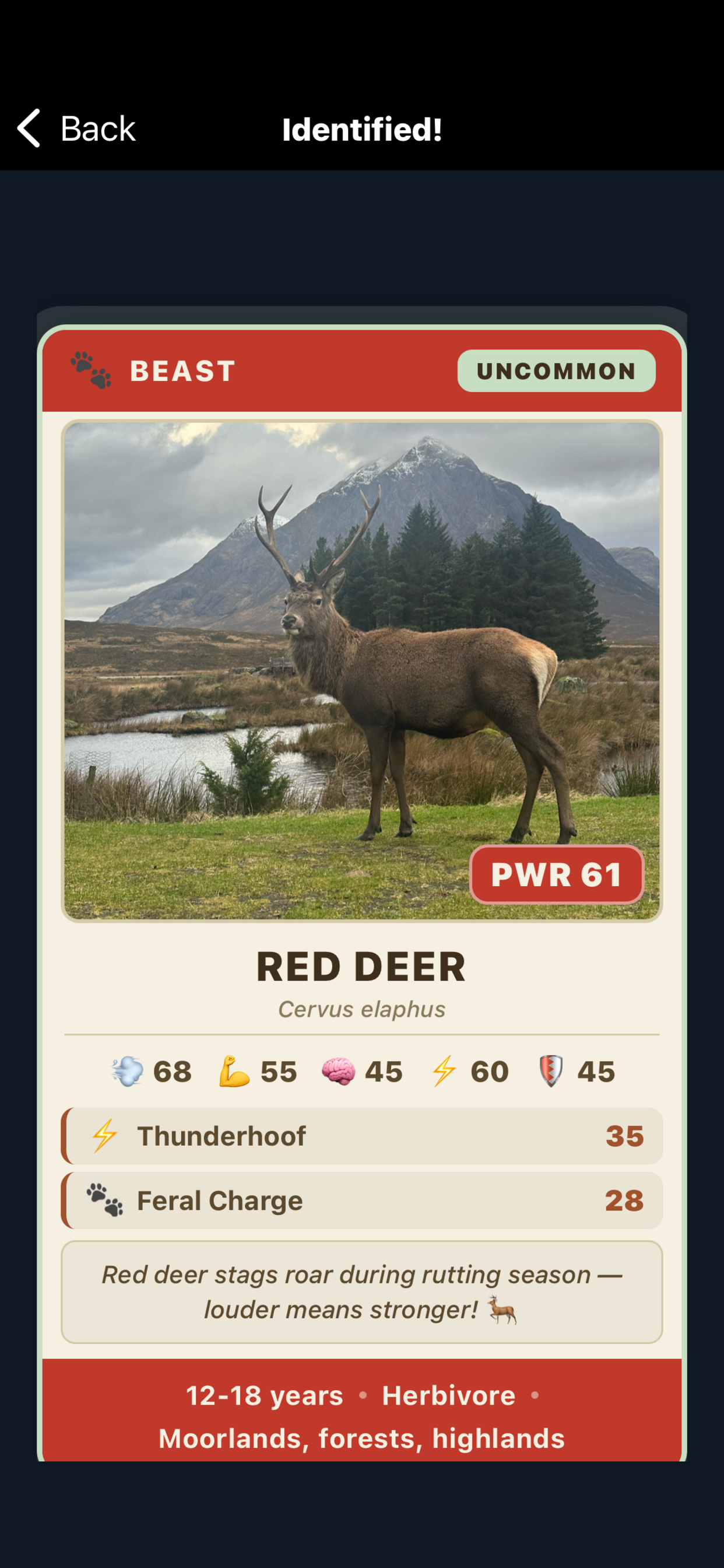 WildDeck