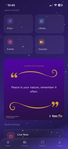 InnerCode - ReStructuring Life iPhone screenshot