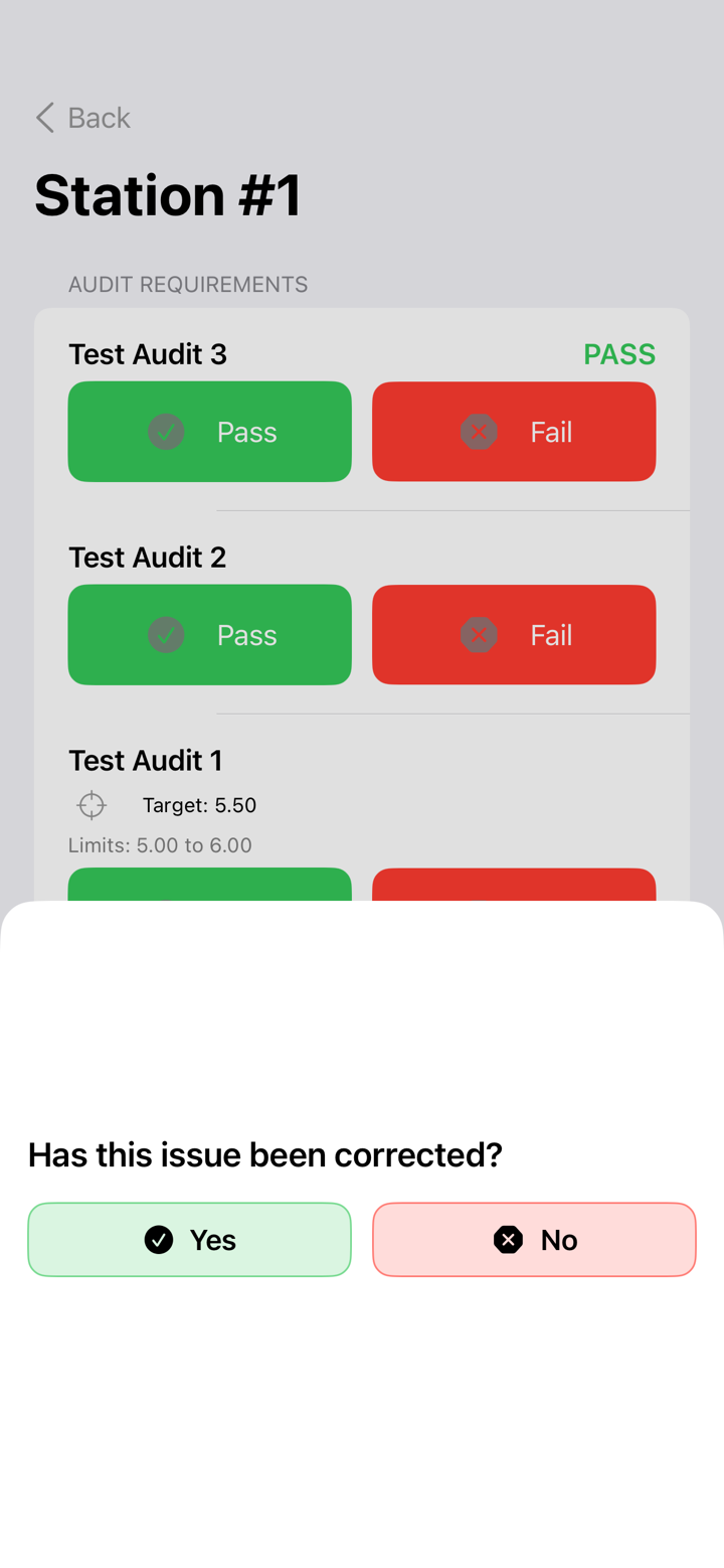 LineAudit Pro screenshot 4